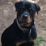 Greg Winnell - @gregwinnell - Instagram