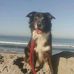 Greg Wirth - Facebook