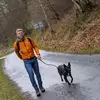 Greg Wittmann - @gregwittmann - TikTok