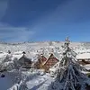 gregorywittmann - @abusbuse_ - TikTok