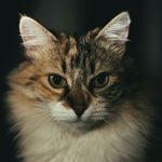 Greg Wojcik - @greg.w.photo - Instagram