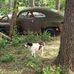 Greg Wolfe - Facebook