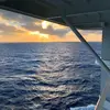 Greg_woodson51 - @greg_woodson51 - TikTok