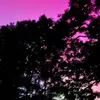 Gregory Youmans - @gregory.youmans - TikTok