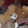 Greg Barr - @greg.barr7 - TikTok
