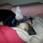 Greg Barton - @barton_greg - Instagram