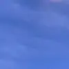 gregg bell - @gregg.bell0 - TikTok