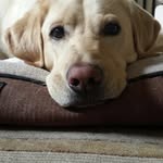 Gregg Brauns - @greggbrauns - Instagram