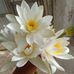 Greg Chapman - Facebook