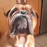 greg cobb - @gregcobb1 - TikTok