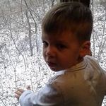 Gregg Cunningham - @greggcunningham - Instagram