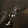 Greg Hanson - @g.hanson7 - TikTok