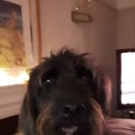 Gregg Harrison - @gregg.pgh - Instagram