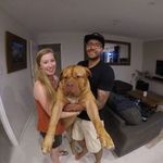 Gregg Harrison - @gregg.harrison1 - Instagram