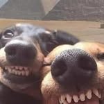 Gregg harrison rankin - @raccoon8879 - Instagram