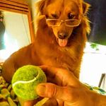 Gregg Hess - @gregghess1963 - Instagram