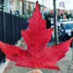Gregg D Marks - @gregg.canada - Instagram