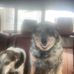 Gregg Marks - Facebook