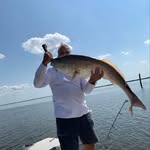 Gregg Miles - @greggmiles - Instagram