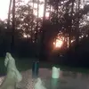 Greg Morrow - @greg.morrow2 - TikTok