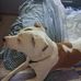 Gregg Sharp - Facebook