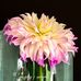 Greg Summers - Facebook
