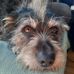 Greg Summers - Facebook