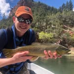 Gregg Watson - @greggybigfly - Instagram