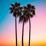 Gregg Weaver - @greggweaver1972 - Instagram