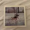 Susan Webb Gregg - @susan.webb.gregg - TikTok