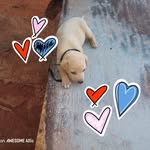 Gregoria Duran - @yulimar9347 - Instagram