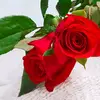 gregoriahernandez28 - @gregoriahernandez28 - TikTok