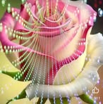 Gregoria Ibarra - Facebook
