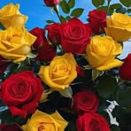 Gregoria Ibarra - Facebook