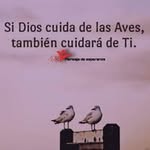 Gregoria Marquez - @gregoriamarquez1 - Instagram
