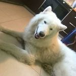 Gregoria Marquez - @gregoria42 - Instagram