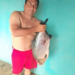 GREGORIO ALEXANDER CONDE PEREZ - @gregorioalexandercondeperez - Instagram