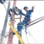 Jose Gregorio Amaro - @net.netpelon - Instagram