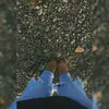 Jai🦫 - @borjagregorio - TikTok