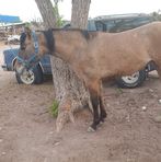 Gregorio Corral - Facebook