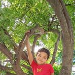 Gregorio Corral - Facebook