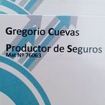 Goyo Cuevas - @gregoriocuevasseguros - Instagram