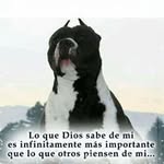 Gregorio Cuevas - @gregorio.cuevas.5036 - Instagram