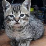 Rodolfo Gregorio Galvan - @rodolfo8668 - Instagram