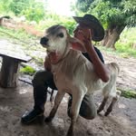 Gregorio Márquez - @gregor.marquez.756 - Instagram