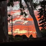 Gregorio Mercado - @kur_t1.0 - Instagram
