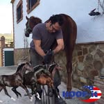 Juan Gregorio Montes Flores - @juangregoriomontes - Instagram