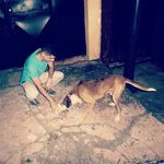 Gregorio  Morales - @jgregoriomoralesm - Instagram