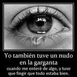 Gregorio Nava - @gregorio_nava62 - Instagram