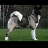Gregorio Ojeda872 - @gregorioojeda872 - TikTok